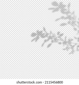 Realistic shadow tropical leaves   branches transparent checkered background  The effect overlaying shadows  Natural light layout 