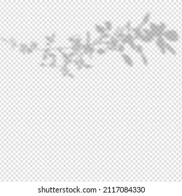 Realistic shadow tropical leaves and branches on transparent checkered background. The effect of overlaying shadows. Natural light layout.
