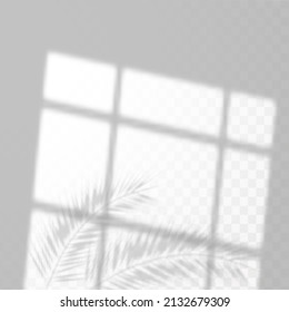 Realistic shadow of tropical leaves or branches on transparent checkered background. The effect of overlaying shadows. Natural light layout.