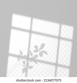 Realistic shadow of tropical leaves or branches on transparent checkered background. The effect of overlaying shadows. Natural light layout.