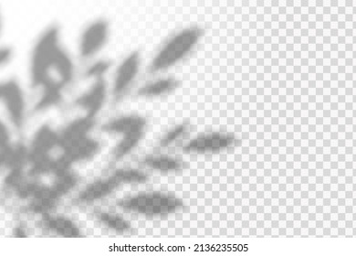 Realistic shadow tropical leaves and branches on transparent checkered background. The effect of overlaying shadows. Natural light layout.