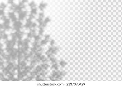 Realistic shadow tropical leaves and branches on transparent checkered background. The effect of overlaying shadows. Natural light layout.