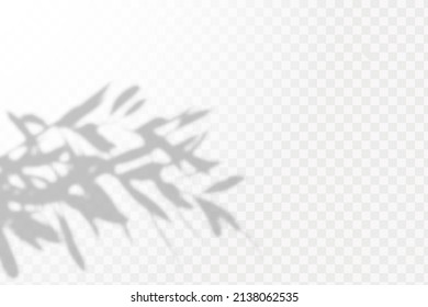 Realistic shadow tropical leaves and branches on transparent checkered background. The effect of overlaying shadows. Natural light layout.