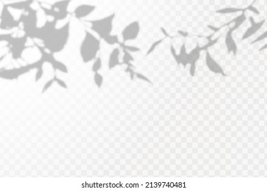 Realistic shadow tropical leaves and branches on transparent checkered background. The effect of overlaying shadows. Natural light layout.