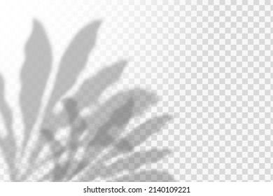 Realistic shadow tropical leaves and branches on transparent checkered background. The effect of overlaying shadows. Natural light layout.