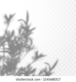 Realistischer Schatten tropischer Blätter oder Äste auf transparentem, karierten Hintergrund. Der Effekt der Überlagerung von Schatten. Natürliche Lichtgestaltung.