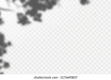 Sombra realista de hojas y ramas tropicales sobre fondo transparente a cuadros. El efecto de las sombras superpuestas. La distribución de la luz natural.