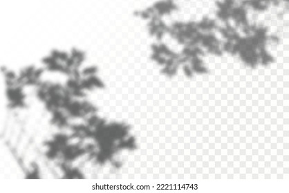 Realistic shadow tropical leaves and branches on transparent checkered background. The effect of overlaying shadows. Natural light layout.