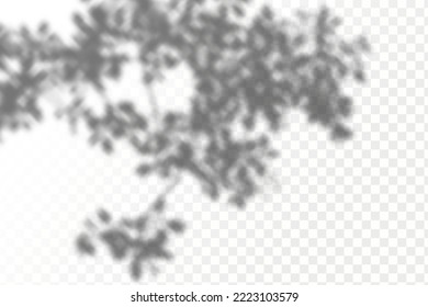 Realistic shadow tropical leaves and branches on transparent checkered background. The effect of overlaying shadows. Natural light layout.