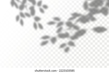 Realistic shadow tropical leaves and branches on transparent checkered background. The effect of overlaying shadows. Natural light layout.