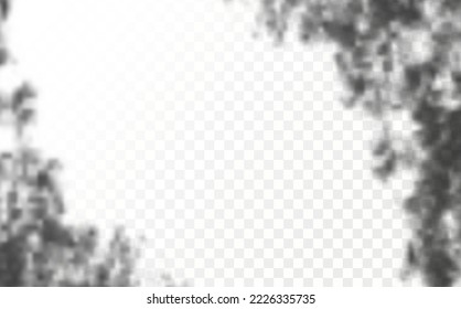 Realistic shadow tropical leaves and branches on transparent checkered background. The effect of overlaying shadows. Natural light layout.