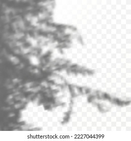 Realistic shadow tropical leaves and branches on transparent checkered background. The effect of overlaying shadows. Natural light layout.