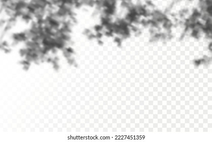 Realistic shadow tropical leaves and branches on transparent checkered background. The effect of overlaying shadows. Natural light layout.