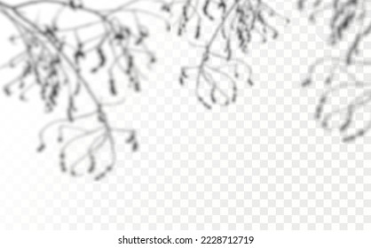 Realistic shadow tropical leaves and branches on transparent checkered background. The effect of overlaying shadows. Natural light layout.