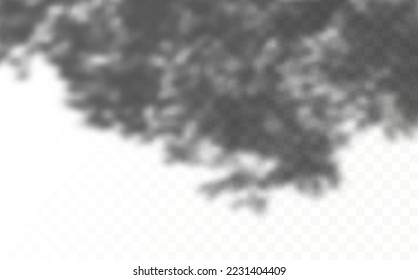 Realistic shadow tropical leaves and branches on transparent checkered background. The effect of overlaying shadows. Natural light layout.