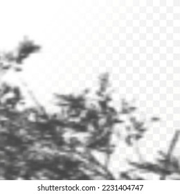 Realistic shadow tropical leaves and branches on transparent checkered background. The effect of overlaying shadows. Natural light layout.
