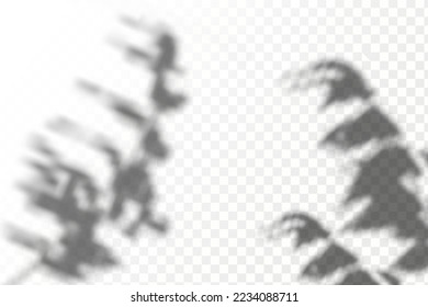 Realistic shadow tropical leaves and branches on transparent checkered background. The effect of overlaying shadows. Natural light layout.