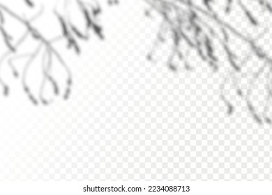 Realistic shadow tropical leaves and branches on transparent checkered background. The effect of overlaying shadows. Natural light layout.