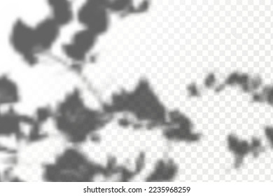 Realistic shadow tropical leaves and branches on transparent checkered background. The effect of overlaying shadows. Natural light layout.