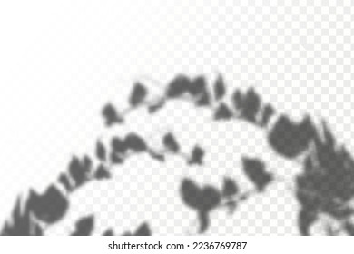 Realistic shadow tropical leaves and branches on transparent checkered background. The effect of overlaying shadows. Natural light layout.