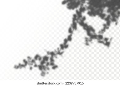 Realistic shadow tropical leaves and branches on transparent checkered background. The effect of overlaying shadows. Natural light layout.