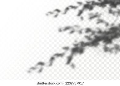 Sombra realista de hojas y ramas tropicales sobre fondo transparente a cuadros. El efecto de las sombras superpuestas. La distribución de la luz natural.