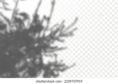Realistic shadow tropical leaves and branches on transparent checkered background. The effect of overlaying shadows. Natural light layout.