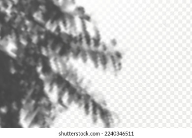 Realistic shadow tropical leaves and branches on transparent checkered background. The effect of overlaying shadows. Natural light layout.