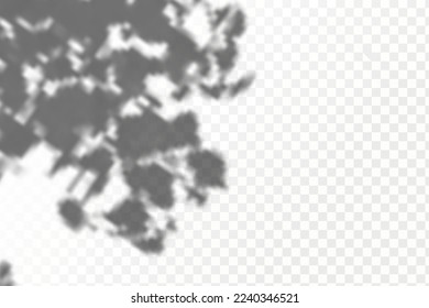 Realistic shadow tropical leaves and branches on transparent checkered background. The effect of overlaying shadows. Natural light layout.