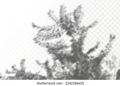 Realistic shadow tropical leaves and branches on transparent checkered background. The effect of overlaying shadows. Natural light layout.