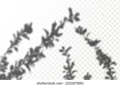 Realistic shadow tropical leaves and branches on transparent checkered background. The effect of overlaying shadows. Natural light layout.