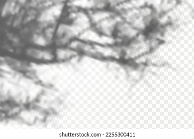 Realistic shadow tropical leaves and branches on transparent checkered background. The effect of overlaying shadows. Natural light layout.