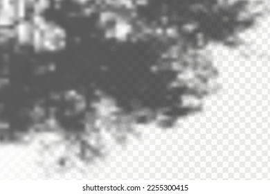 Realistic shadow tropical leaves and branches on transparent checkered background. The effect of overlaying shadows. Natural light layout.