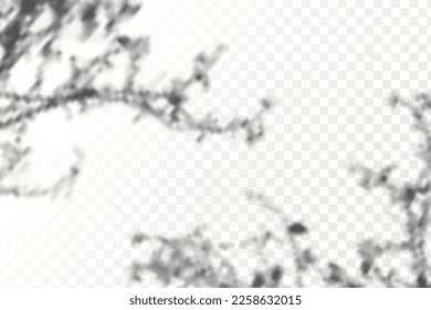 Realistic shadow tropical leaves and branches on transparent checkered background. The effect of overlaying shadows. Natural light layout.