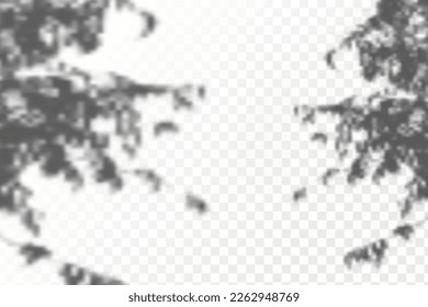 Realistic shadow tropical leaves and branches on transparent checkered background. The effect of overlaying shadows. Natural light layout.