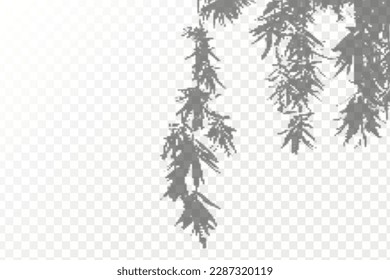 Realistic shadow tropical leaves and branches on transparent checkered background. The effect of overlaying shadows. Natural light layout.