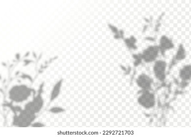 Realistic shadow tropical leaves and branches on transparent checkered background. The effect of overlaying shadows. Natural light layout.