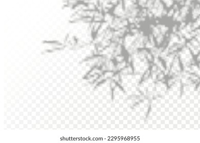 Realistic shadow tropical leaves and branches on transparent checkered background. The effect of overlaying shadows. Natural light layout.