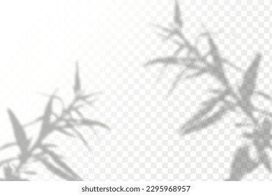 Realistic shadow tropical leaves and branches on transparent checkered background. The effect of overlaying shadows. Natural light layout.