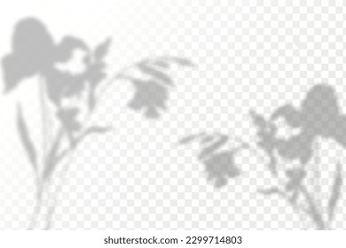 Realistic shadow tropical leaves and branches on transparent checkered background. The effect of overlaying shadows. Natural light layout.