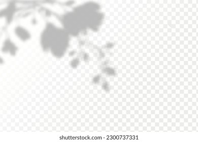 Realistic shadow tropical leaves and branches on transparent checkered background. The effect of overlaying shadows. Natural light layout.