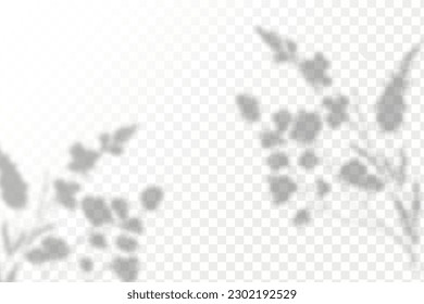 Realistic shadow tropical leaves and branches on transparent checkered background. The effect of overlaying shadows. Natural light layout.