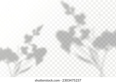 Realistic shadow tropical leaves and branches on transparent checkered background. The effect of overlaying shadows. Natural light layout.