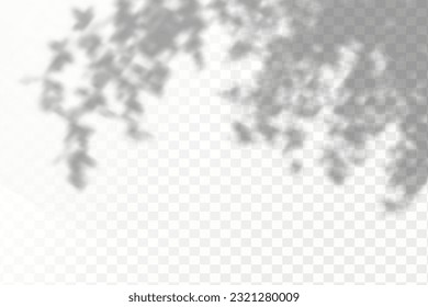 Realistic shadow tropical leaves and branches on transparent checkered background. The effect of overlaying shadows. Natural light layout.