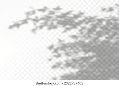 Realistic shadow tropical leaves and branches on transparent checkered background. The effect of overlaying shadows. Natural light layout.