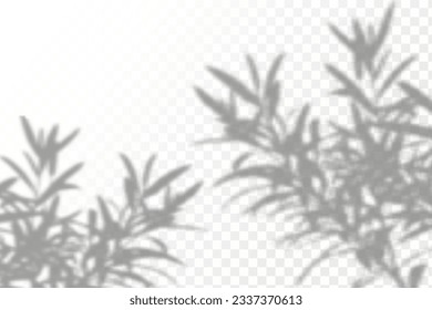 Realistic shadow tropical leaves and branches on transparent checkered background. The effect of overlaying shadows. Natural light layout.