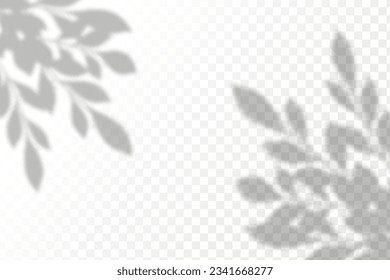 Realistic shadow tropical leaves and branches on transparent checkered background. The effect of overlaying shadows. Natural light layout.