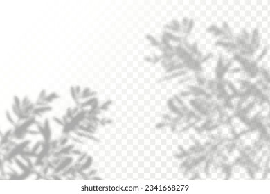 Realistic shadow tropical leaves and branches on transparent checkered background. The effect of overlaying shadows. Natural light layout.