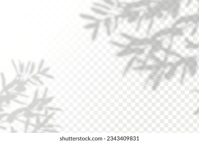 Realistic shadow tropical leaves and branches on transparent checkered background. The effect of overlaying shadows. Natural light layout.