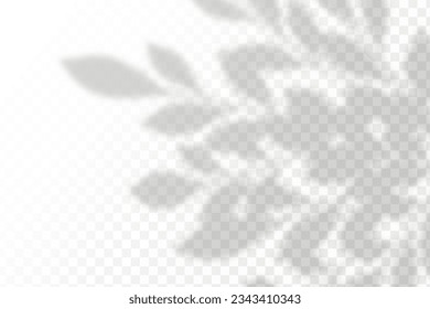 Realistic shadow tropical leaves and branches on transparent checkered background. The effect of overlaying shadows. Natural light layout.